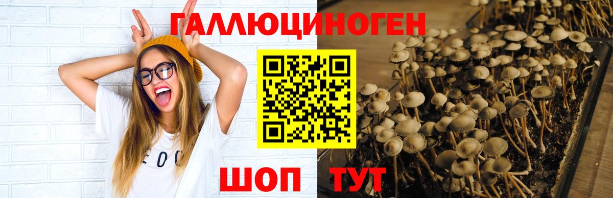 ГАШ  Гашиш  Бошки Шишки  Новоалтайск  МЕФ   Вход с VPN 